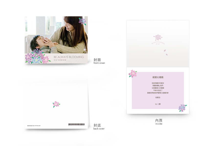 【母亲节】幸福绣球-粉紫